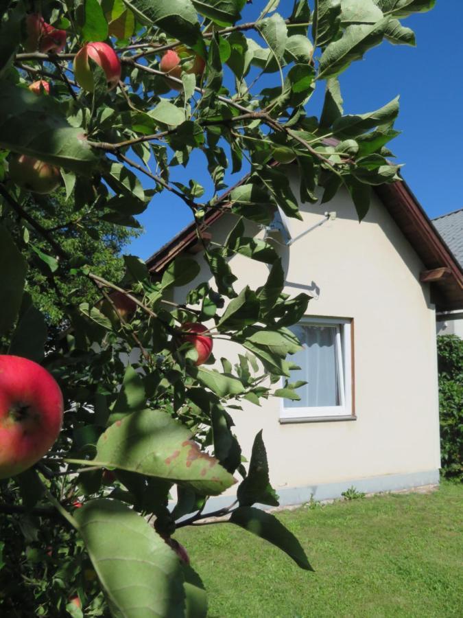 Haus Irmi Bed & Breakfast Knittelfeld Dış mekan fotoğraf